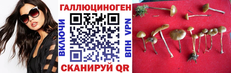 Галлюциногенные грибы MAGIC MUSHROOMS  даркнет состав  Никольское 